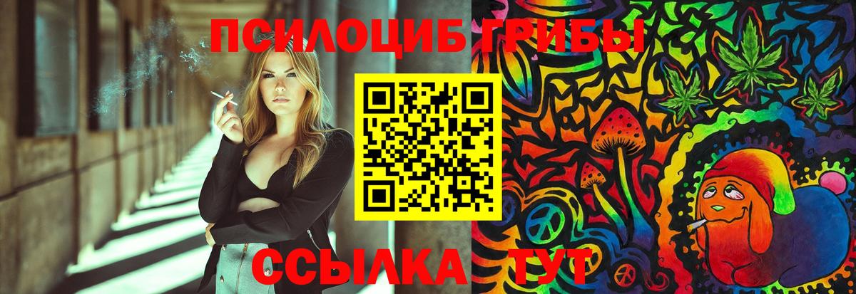 Галлюциногенные грибы прущие грибы Аргун